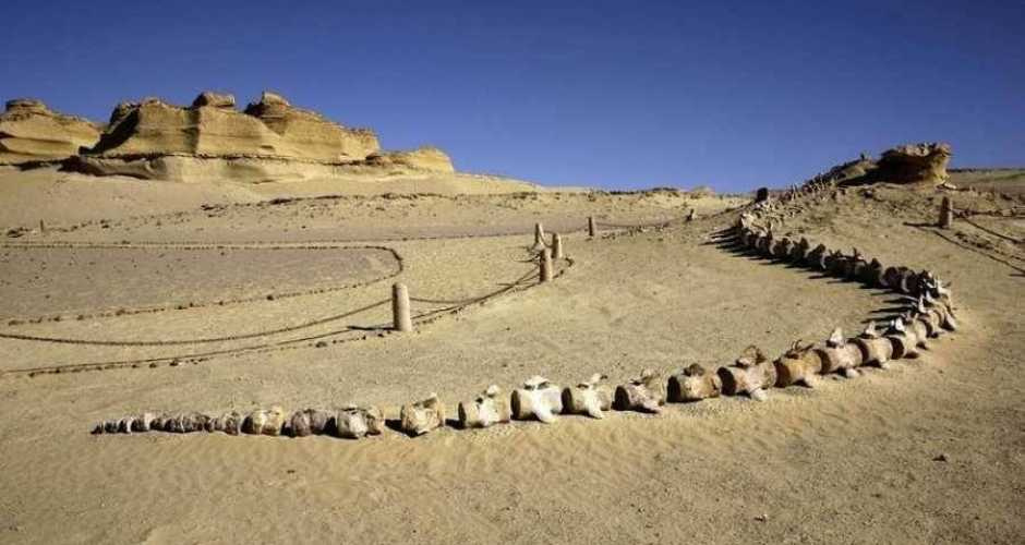 Excursion de 4 jours en Égypte : les pyramides et la vallée des baleines